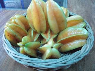 BELIMBING